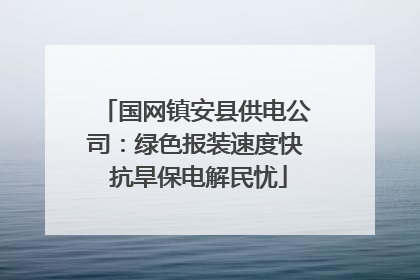国网镇安县供电公司：绿色报装速度快 抗旱保电解民忧