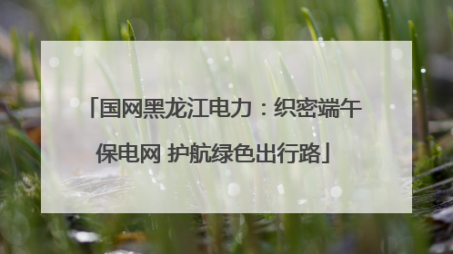 国网黑龙江电力：织密端午保电网 护航绿色出行路