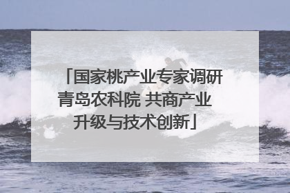 国家桃产业专家调研青岛农科院 共商产业升级与技术创新