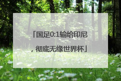 国足0:1输给印尼，彻底无缘世界杯
