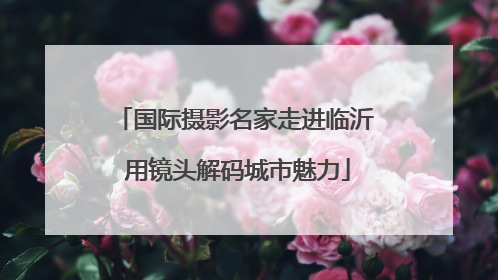 国际摄影名家走进临沂 用镜头解码城市魅力