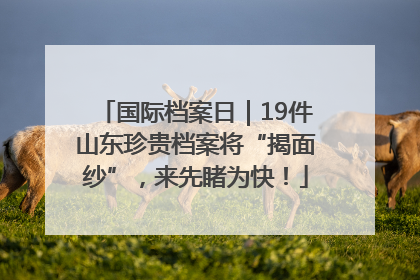 国际档案日｜19件山东珍贵档案将“揭面纱”，来先睹为快！