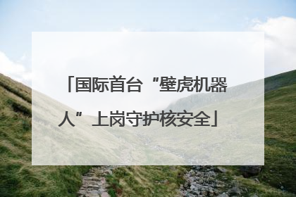 国际首台“壁虎机器人”上岗守护核安全