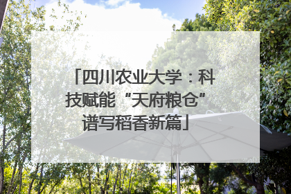 四川农业大学：科技赋能“天府粮仓”谱写稻香新篇