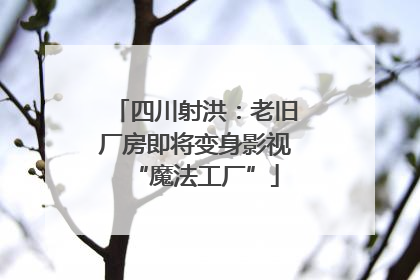 四川射洪：老旧厂房即将变身影视“魔法工厂”