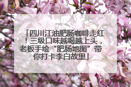 四川江油肥肠咖啡走红！三级口味越喝越上头，老板手绘“肥肠地图”带你打卡李白故里