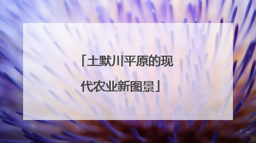 土默川平原的现代农业新图景