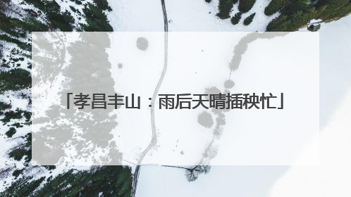 孝昌丰山：雨后天晴插秧忙
