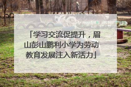 学习交流促提升，眉山彭山鹏利小学为劳动教育发展注入新活力