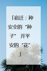 宿迁：种安全的“种子” 开平安的“花”