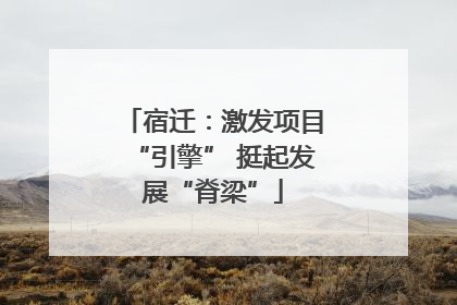 宿迁：激发项目“引擎” 挺起发展“脊梁”