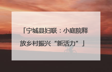 宁城县妇联：小庭院释放乡村振兴“新活力”