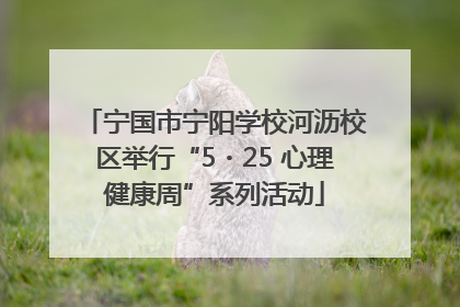宁国市宁阳学校河沥校区举行“5・25 心理健康周”系列活动
