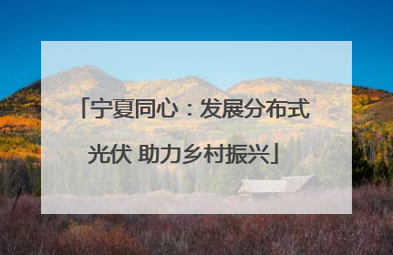 宁夏同心：发展分布式光伏 助力乡村振兴
