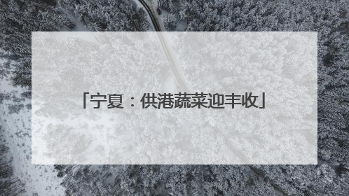 宁夏：供港蔬菜迎丰收