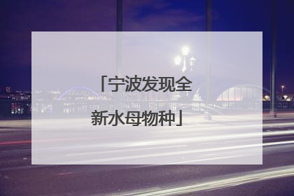 宁波发现全新水母物种