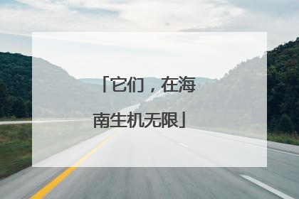 它们，在海南生机无限