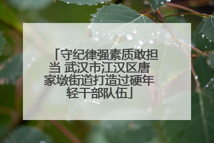 守纪律强素质敢担当 武汉市江汉区唐家墩街道打造过硬年轻干部队伍