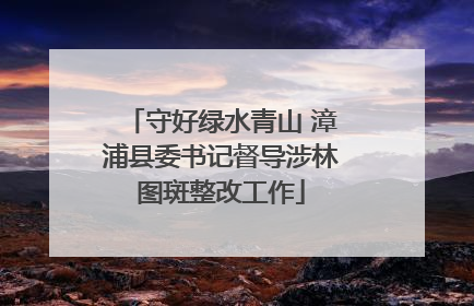 守好绿水青山 漳浦县委书记督导涉林图斑整改工作