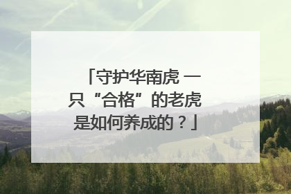 守护华南虎 一只“合格”的老虎是如何养成的？