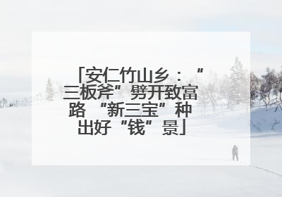 安仁竹山乡：“三板斧”劈开致富路 “新三宝”种出好“钱”景
