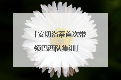 安切洛蒂首次带领巴西队集训