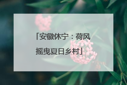 安徽休宁：荷风摇曳夏日乡村