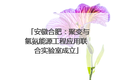安徽合肥：聚变与氢氨能源工程应用联合实验室成立