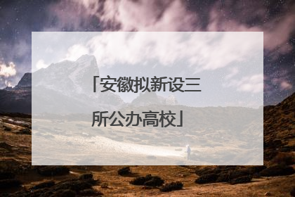 安徽拟新设三所公办高校