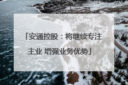 安通控股：将继续专注主业 增强业务优势