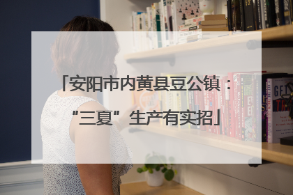 安阳市内黄县豆公镇：“三夏”生产有实招