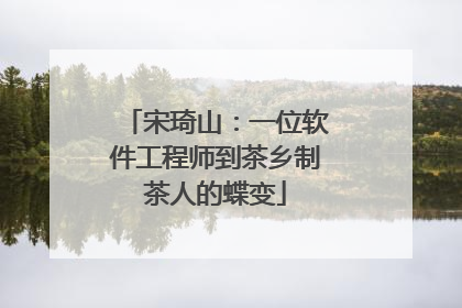 宋琦山：一位软件工程师到茶乡制茶人的蝶变