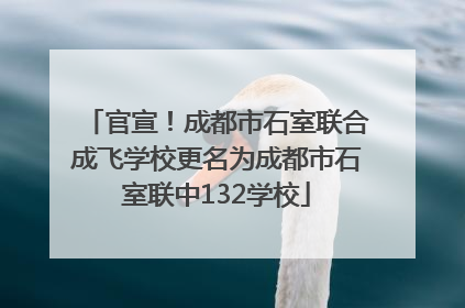 官宣！成都市石室联合成飞学校更名为成都市石室联中132学校