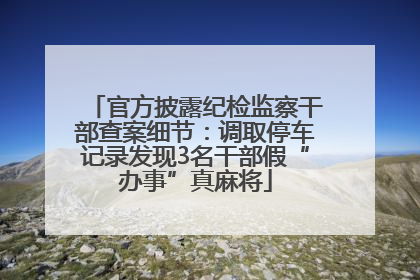 官方披露纪检监察干部查案细节：调取停车记录发现3名干部假“办事”真麻将