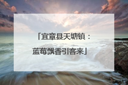 宜章县天塘镇：蓝莓飘香引客来