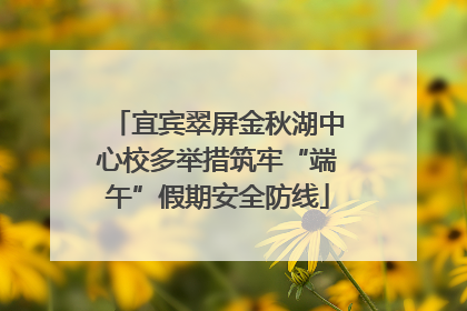 宜宾翠屏金秋湖中心校多举措筑牢“端午”假期安全防线