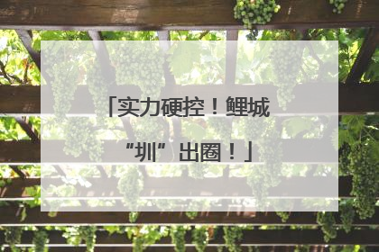 实力硬控！鲤城“圳”出圈！