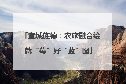 宣城旌德：农旅融合绘就“莓”好“蓝”图