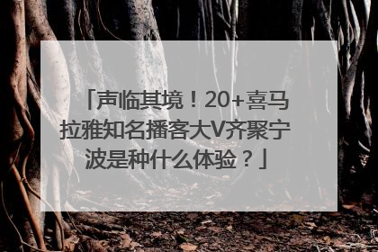 声临其境！20+喜马拉雅知名播客大V齐聚宁波是种什么体验？
