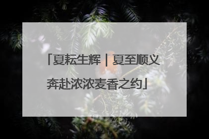 夏耘生辉｜夏至顺义奔赴浓浓麦香之约