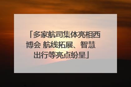 多家航司集体亮相西博会 航线拓展、智慧出行等亮点纷呈