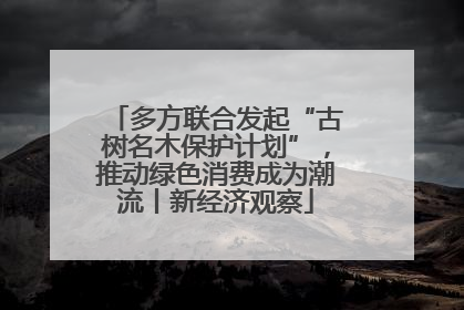 多方联合发起“古树名木保护计划”，推动绿色消费成为潮流丨新经济观察