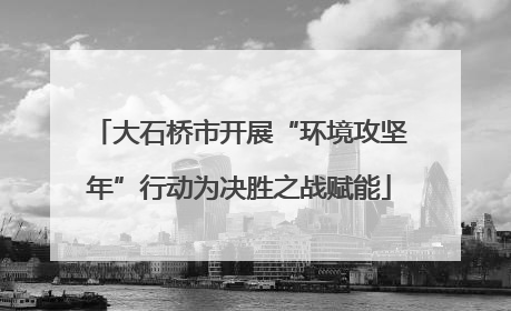 大石桥市开展“环境攻坚年”行动为决胜之战赋能
