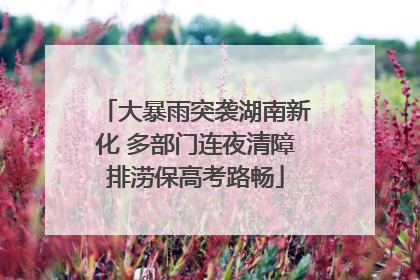 大暴雨突袭湖南新化 多部门连夜清障排涝保高考路畅