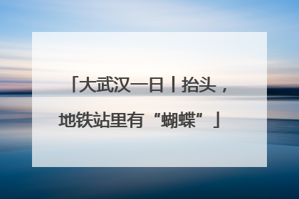 大武汉一日丨抬头，地铁站里有“蝴蝶”