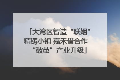 大湾区智造“联姻”精铸小镇 嘉禾借合作“破茧”产业升级