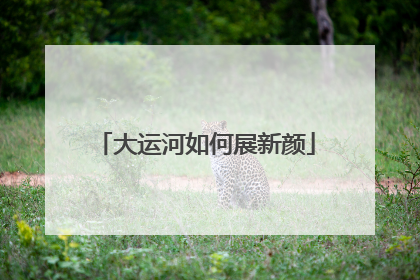 大运河如何展新颜