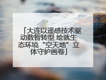 大连以遥感技术驱动数智转型 绘就生态环境“空天地”立体守护画卷