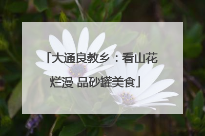 大通良教乡：看山花烂漫 品砂罐美食