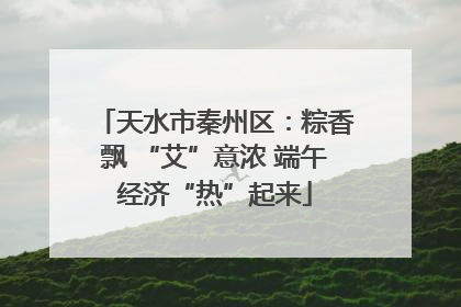 天水市秦州区：粽香飘 “艾”意浓 端午经济“热”起来